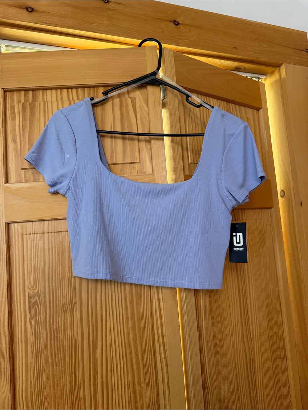 Ribbed Ideology Crop Top in Light Lavender